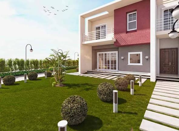 زراعة النخيل